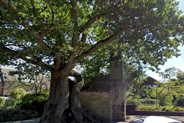 Printer, multi-function, all in one, photocopier sales supplier LINGFIELD, SURREY. Whatever your printer &nbsp;requirement, we have a new or refurbished Printer, multi-function, all in one, photocopier or Copier solution for you, New & Refurbished Equipment, A4, A3, &nbsp;Mono and Colour, Outright Purchase, Lease Rental and Short Term rental in LINGFIELD, SURREY and surrounding areas.